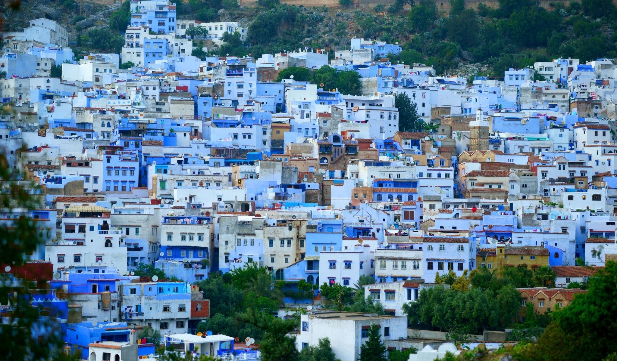 خدمات تحديد المواقع المغرب