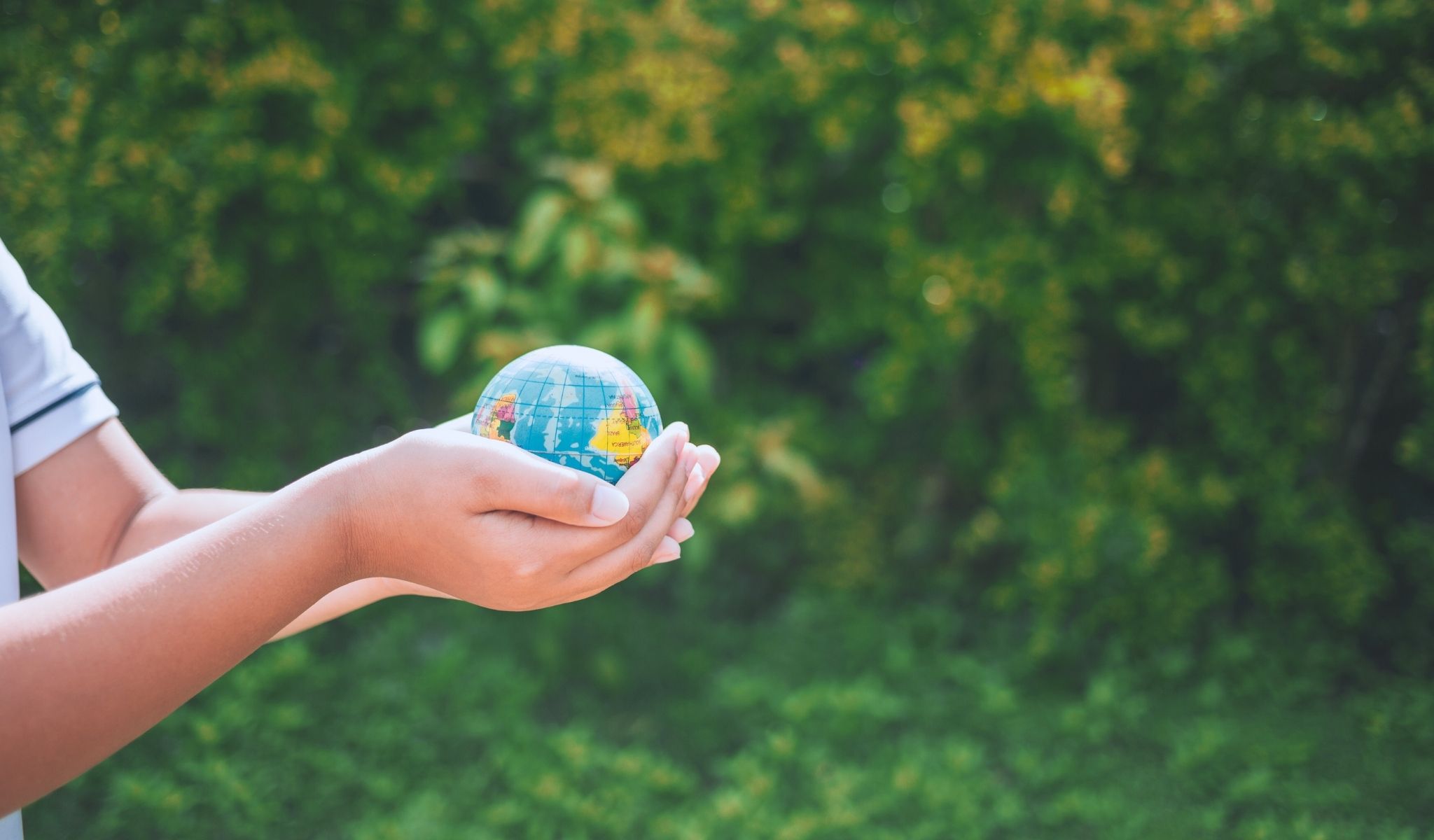 IMLARCO service locations network